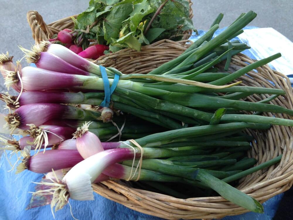 radishes and green onions in a basket