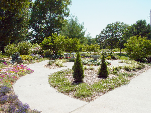 Parsons Arboretum
